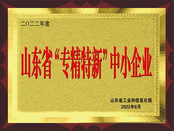 山東省專精特新中小企業(yè)